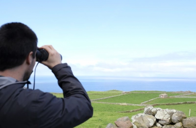 FER2183_resultado-960x640_c