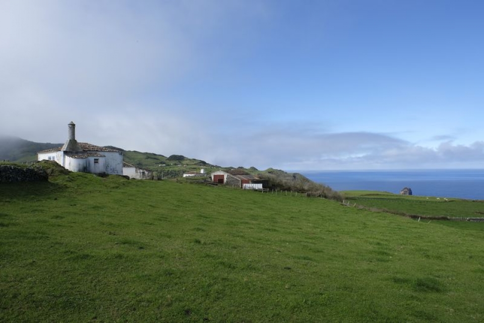 FER2195_resultado-960x640_c