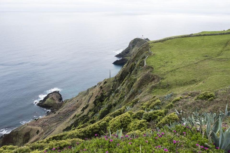 FER2428_resultado-960x640_c