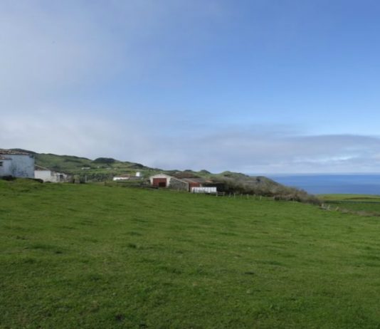 Esta ilha portuguesa é um tesouro por descobrir