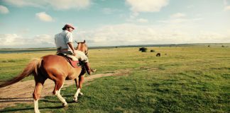 Uruguai: uma roadtrip para descobrir as praias do Leste