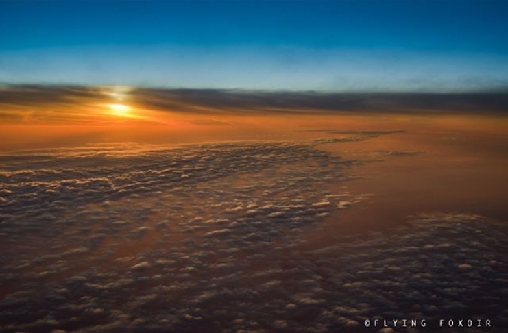 17438836_396155334092100_3692673256008974336_n