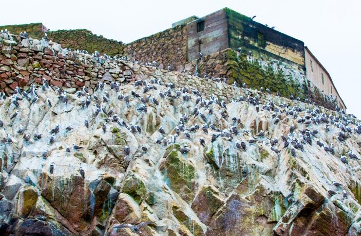 shutterstock_168426515