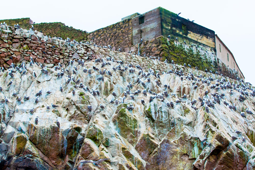 shutterstock_168426515