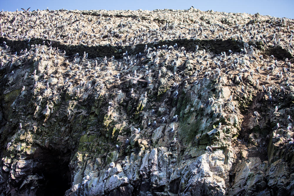 shutterstock_202488193