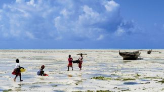 Em busca da verdadeira alma de Zanzibar