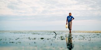 Zanzibar: viagem à ilha das especiarias e das luas-de-mel