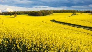 De Lyon a Paris: uma viagem de carro pela estrada de ouro