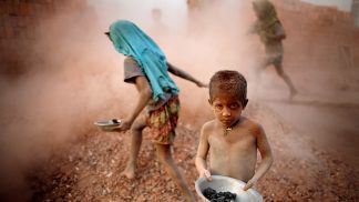 National Geographic junta em Aveiro alguns dos melhores fotógrafos de viagem