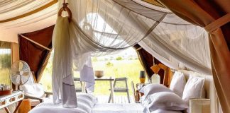 Glamping pelo mundo para acampar com conforto