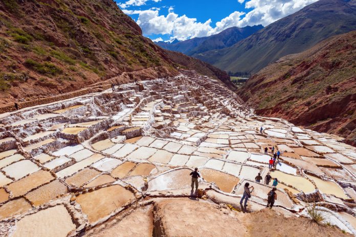 shutterstock_439749343