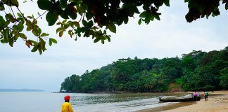 Crioulo da ilha do Príncipe pode desaparecer em 30 anos