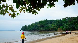 Crioulo da ilha do Príncipe pode desaparecer em 30 anos Crioulo da ilha do Príncipe pode desaparecer em 30 anos