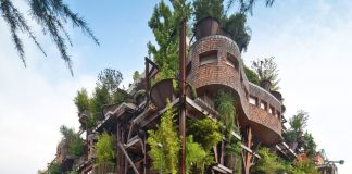 É possível viver numa casa da árvore no centro de uma cidade