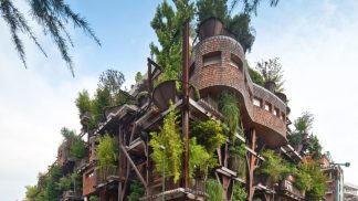 É possível viver numa casa da árvore no centro de uma cidade