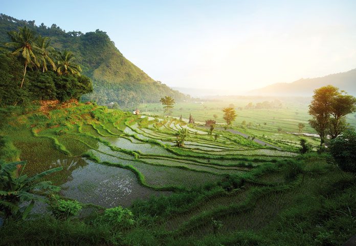 BALI_01_JANEIRO_2018