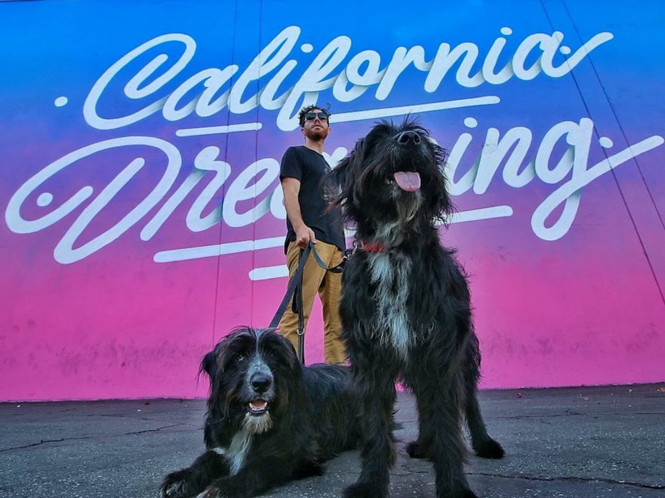 5a6f32367101ad03635efb57-960-720