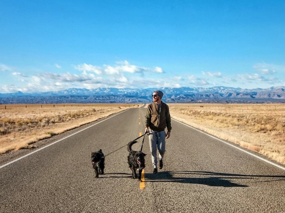 5a6f3373ec1ade07bf79a9af-960-720