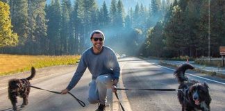 Jordan Kahana: despediu-se do trabalho para viajar com dois cães que tirou da rua