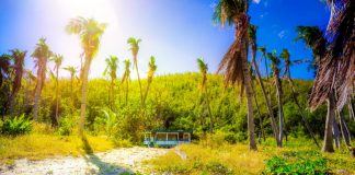 Alojamentos fora do normal onde pode passar férias