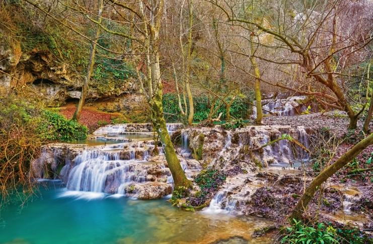 shutterstock_778697881