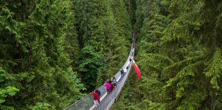 7 pontes impressionantes para atravessar uma vez na vida