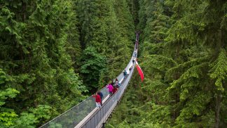 7 pontes impressionantes para atravessar uma vez na vida