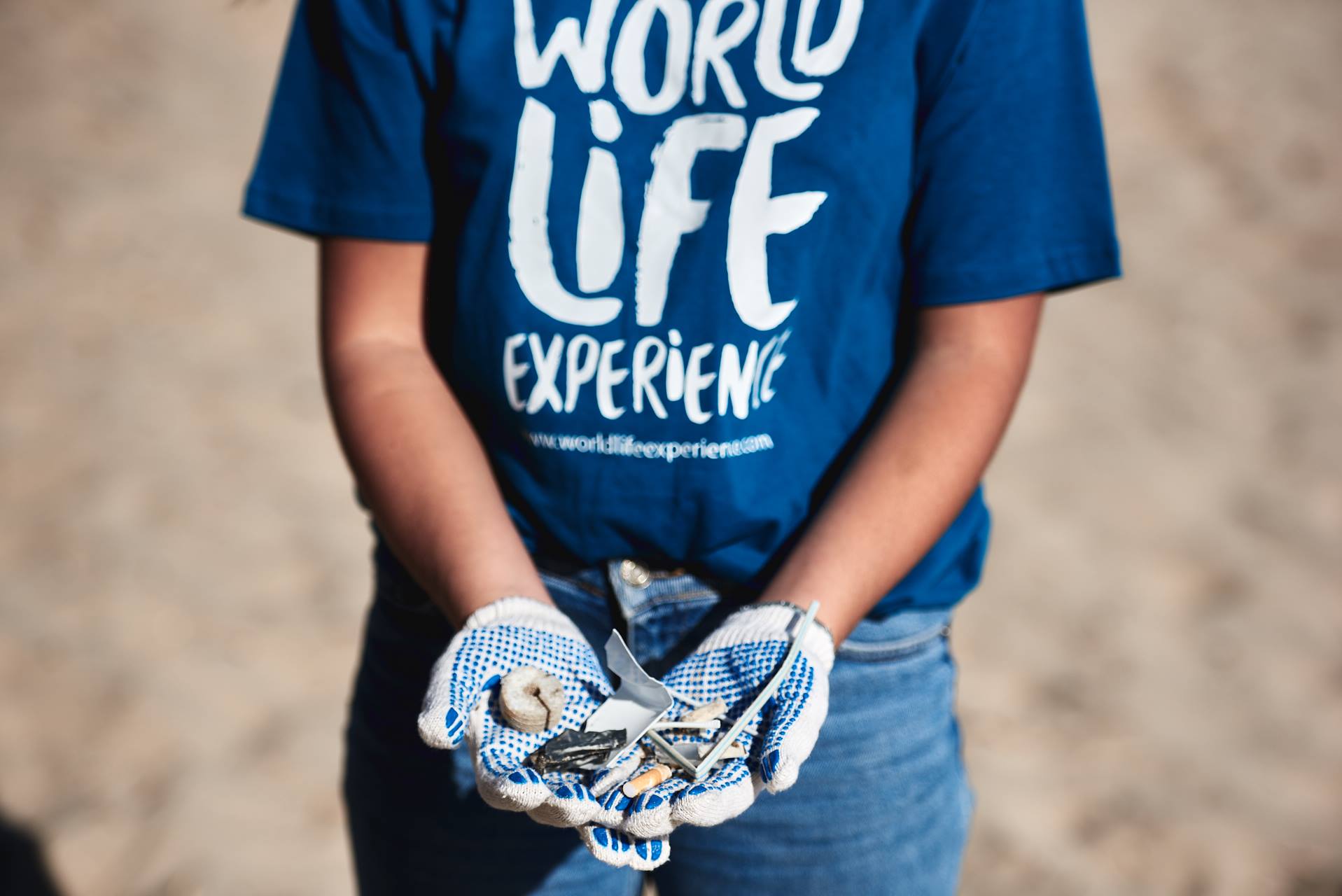 19800874_1940558962899414_767763306793428309_o