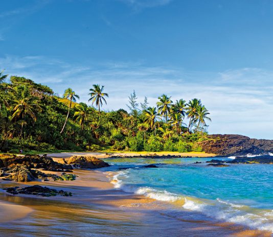 Madagáscar: à descoberta do lado mais selvagem