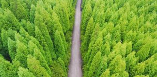 Fotografias impressionantes de Portugal tiradas por drones