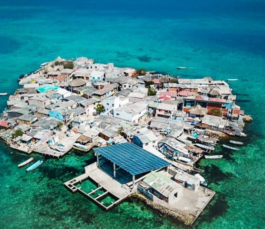 A estranha ilha com maior densidade populacional do mundo onde não há crime