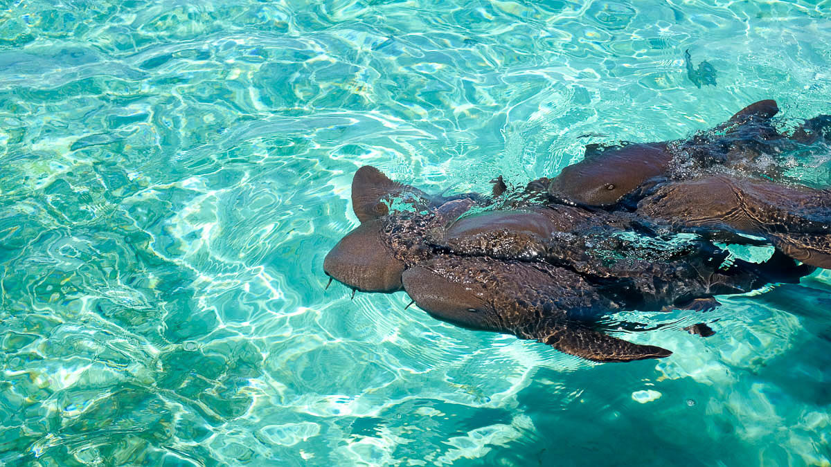 The_Wanderlust_Encontro_Maias_Belize_Guatemala_mexico_8