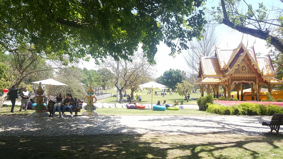 32332099_1669777039764785_5988661110574678016_n