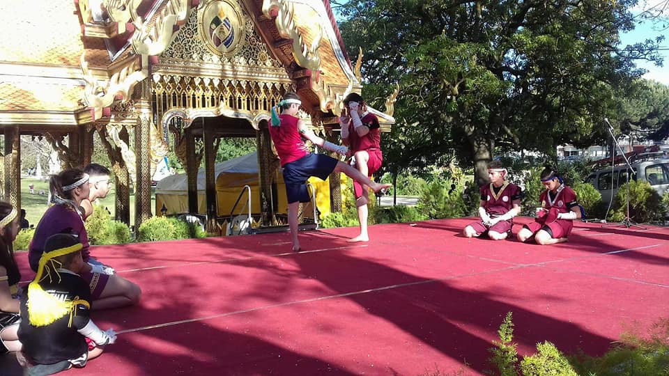 32512017_1672816636127492_625093560349229056_n