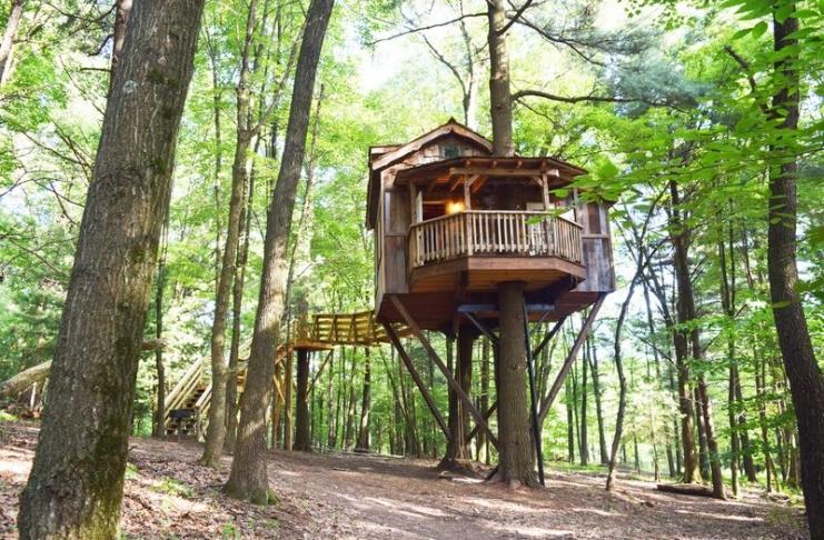 6794582_orig_resultado