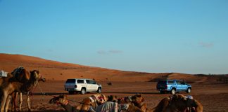 Omã: uma aventura pelo deserto e pela cidade do estreito de Ormuz (Episódio 4 - RTP3)