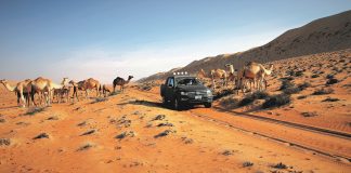 Omã: expedição todo o terreno com Volkswagen
