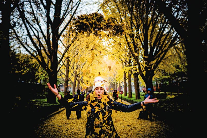 © travellingwithtania.com