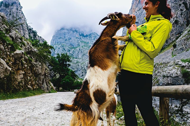 © travellingwithtania.com