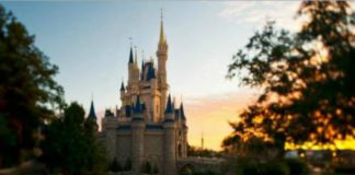 Esta é a razão pela qual não existem mosquitos na Disney World