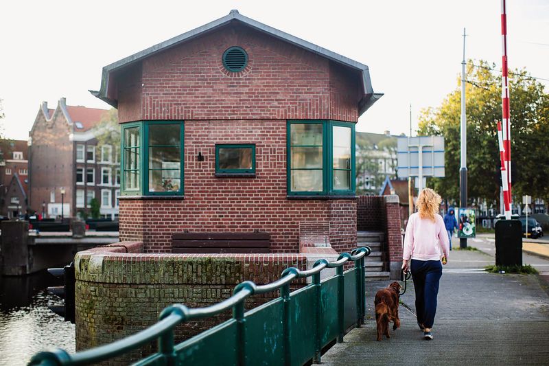 kattensloot-6_resultado