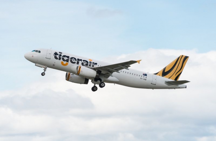 shutterstock_233067967_resultado