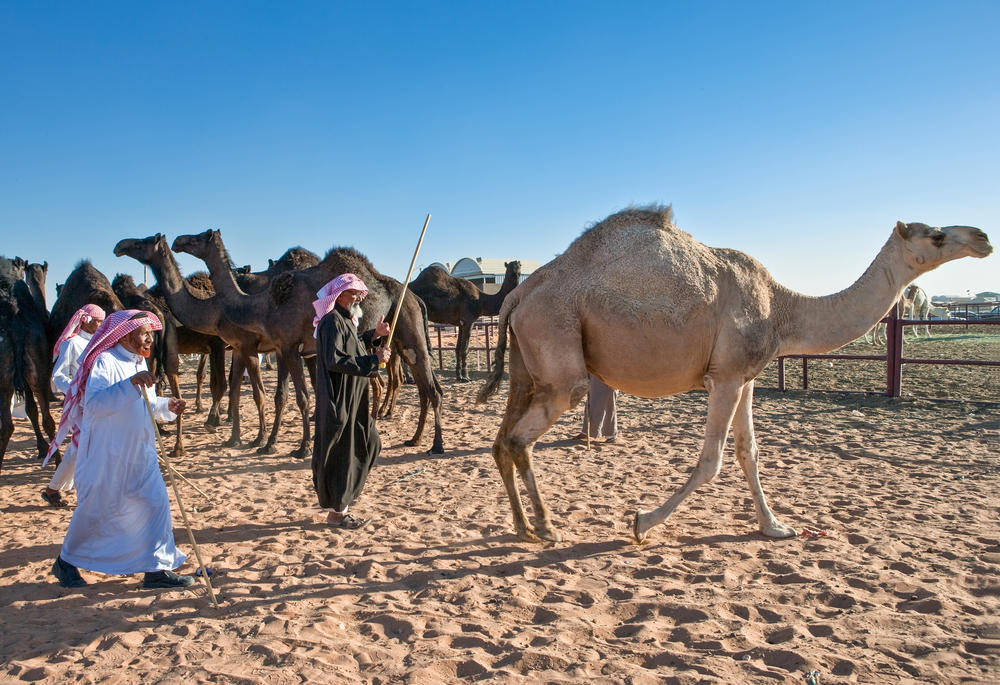 shutterstock_316875284