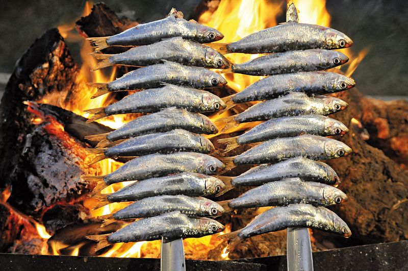 shutterstock_461309056_resultado