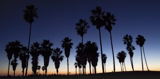 Califórnia: roadtrip pela Highway 1, entre São Francisco e San Diego