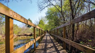 Passeio de bicicleta pela ecopista da antiga Linha do Dão
