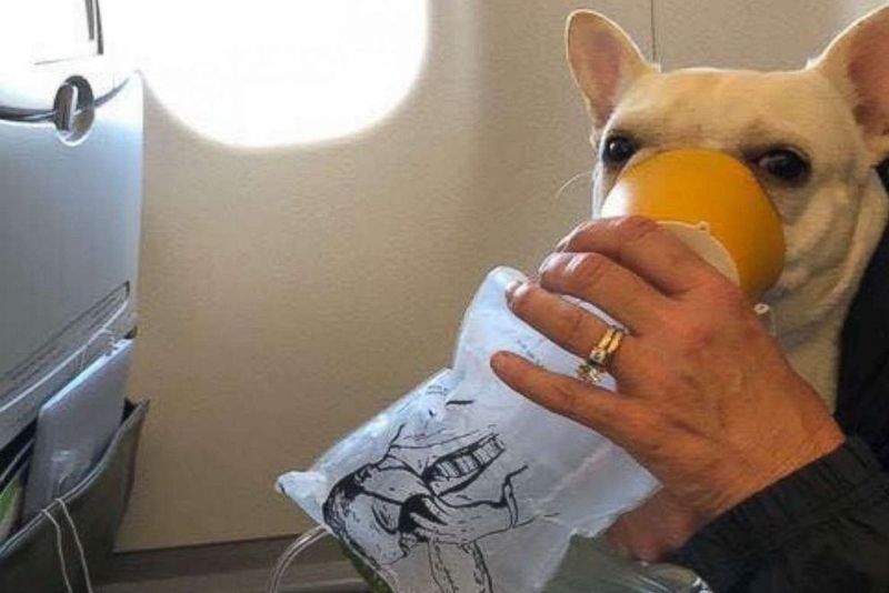 Steven-and-Michele-Burt2_resultado