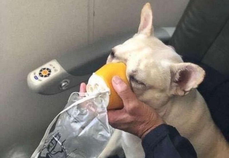 Steven-and-Michele-Burt3_resultado