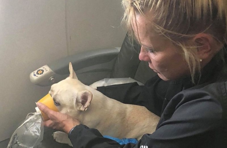 facebook_foxnews_resultado