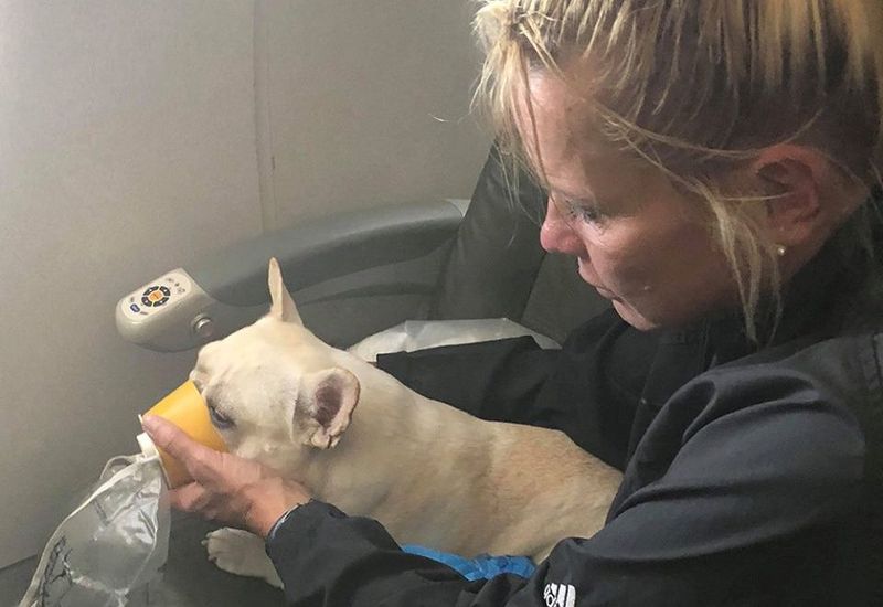 facebook_foxnews_resultado